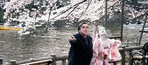 CHERRY BLOSSOMS still