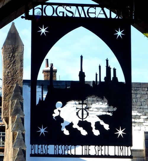 Wizarding World of Harry Potter 9