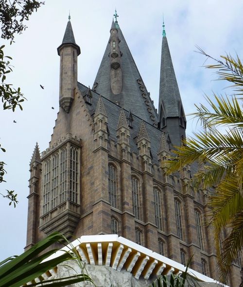 Wizarding World of Harry Potter 38