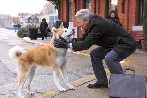 HACHI Richard Gere 1
