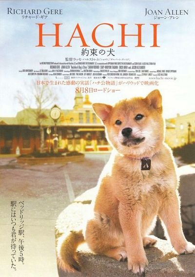 HACHI
