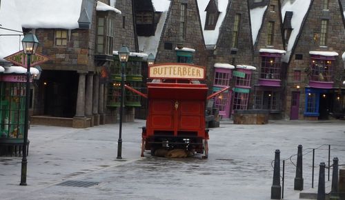 Wizarding World of Harry Potter 9