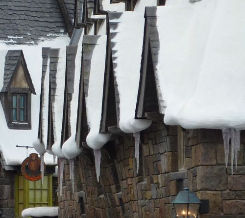 Wizarding World of Harry Potter 11