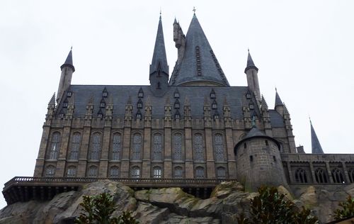 Wizarding World of Harry Potter 25