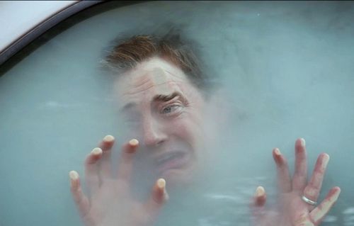 FURRY VENGEANCE Still 2