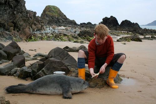 SHINE OF RAINBOWS Seal
