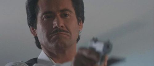 ADVENTURES OF FORD FAIRLANE Wayne Newton