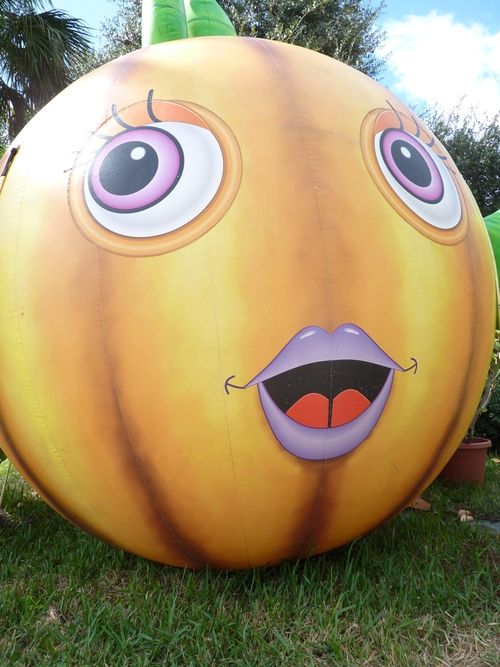 Sea World Spooktacular 15