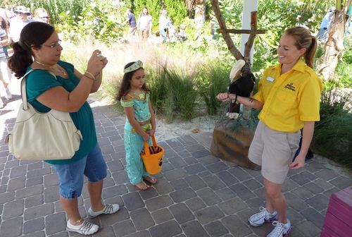 Sea World Spooktacular 40