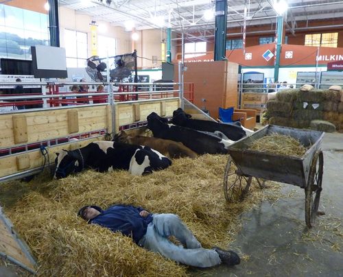 Minnesota State Fair 2010 12