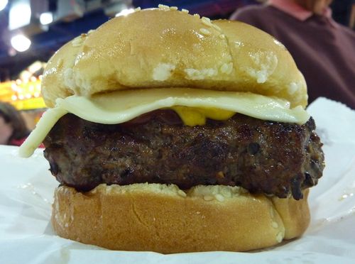 Minnesota State Fair 2010 4