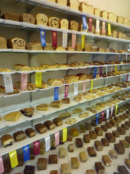 Minnesota State Fair 2010 9