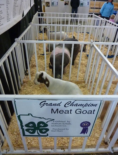Minnesota State Fair 2010 13