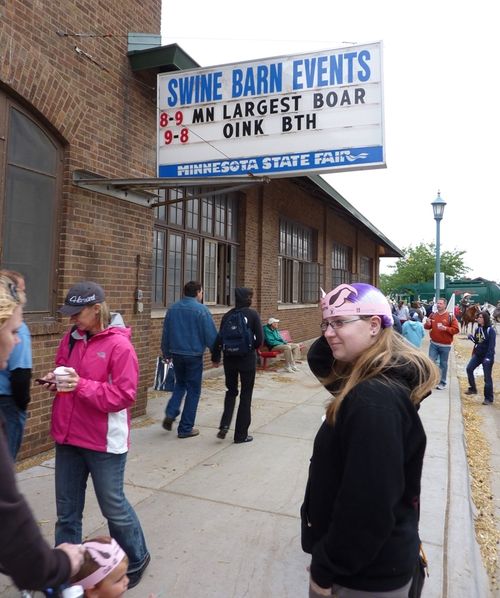 Minnesota State Fair 2010 17