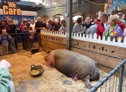 Minnesota State Fair 2010 18