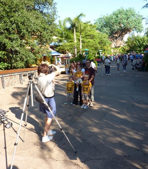 Animal Kingdom 2