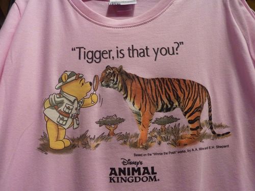 Animal Kingdom 6