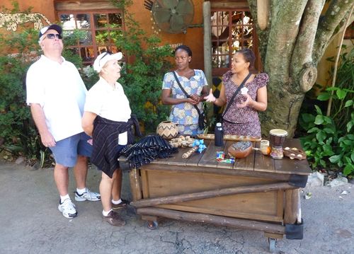 Animal Kingdom 5