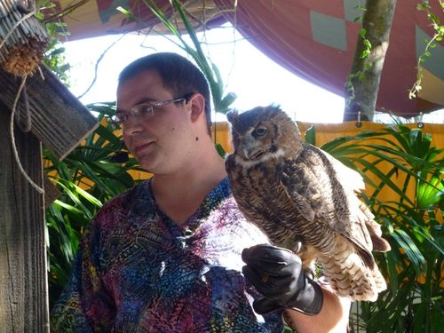 Animal Kingdom 9