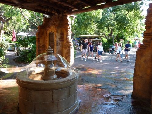 Animal Kingdom 11