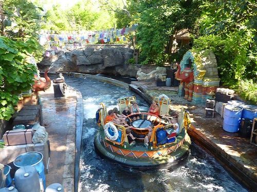 Animal Kingdom 12