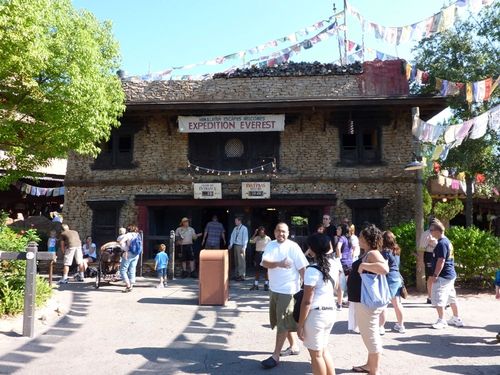 Animal Kingdom 15