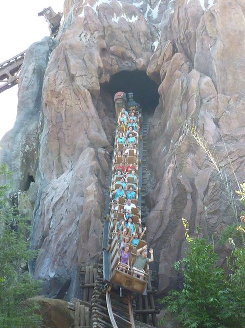 Animal Kingdom 16