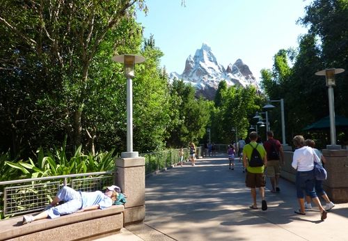 Animal Kingdom 18