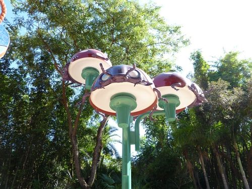Animal Kingdom 21
