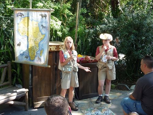 Animal Kingdom 26