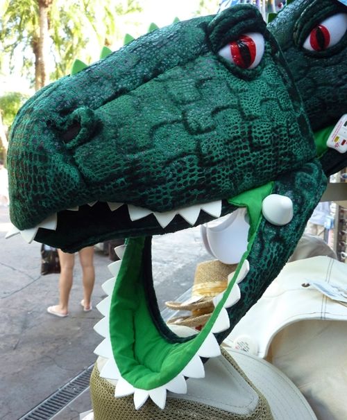 Islands of Adventure 25