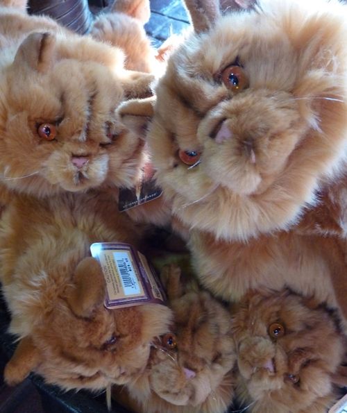 Islands of Adventure 38