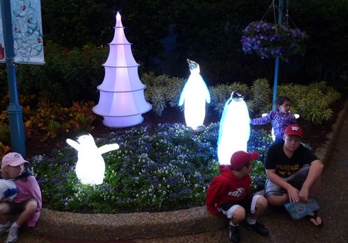 Sea World's Christmas Celebration 49