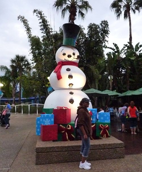 Sea World's Christmas Celebration 2