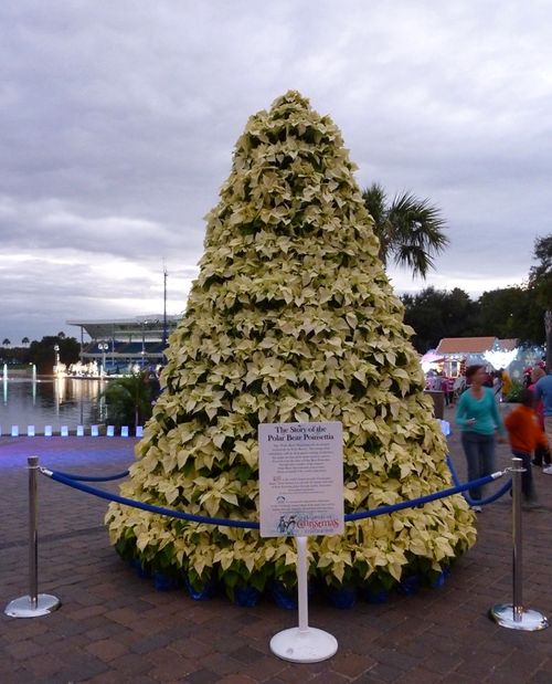 Sea World's Christmas Celebration 47