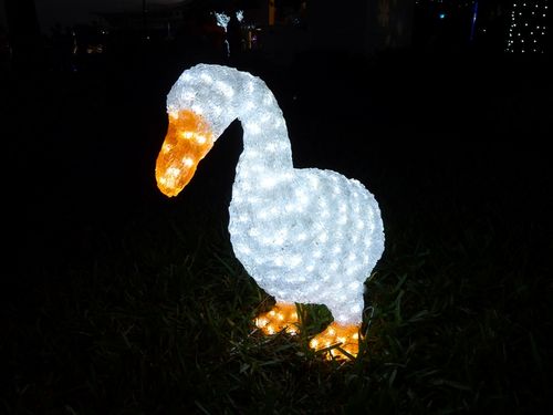 Sea World's Christmas Celebration 44