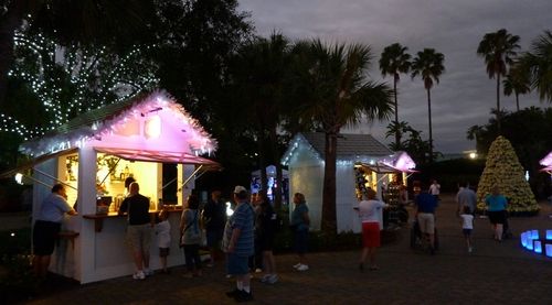 Sea World's Christmas Celebration 41