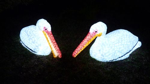 Sea World's Christmas Celebration 39