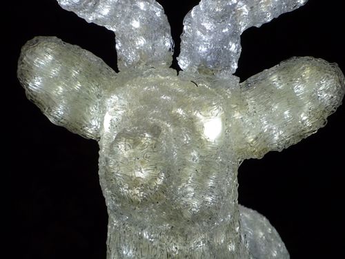 Sea World's Christmas Celebration 34