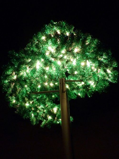 Sea World's Christmas Celebration 25