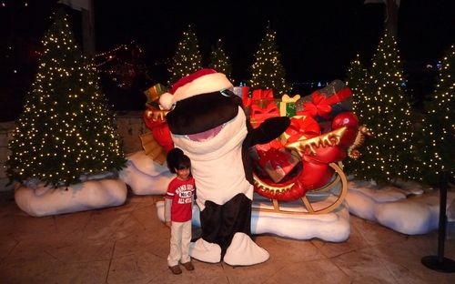 Sea World's Christmas Celebration 23