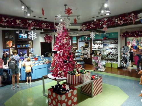 Sea World's Christmas Celebration 20