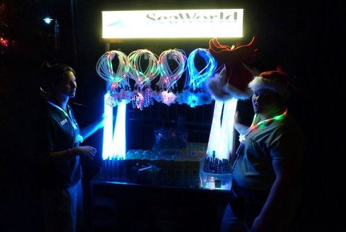 Sea World's Christmas Celebration 6