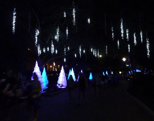 Sea World's Christmas Celebration 9