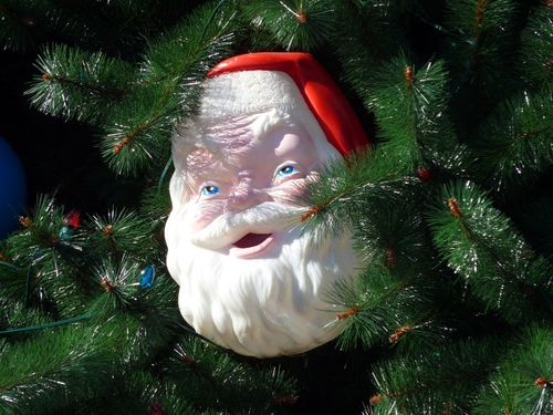 Disney's Hollywood Studios 4