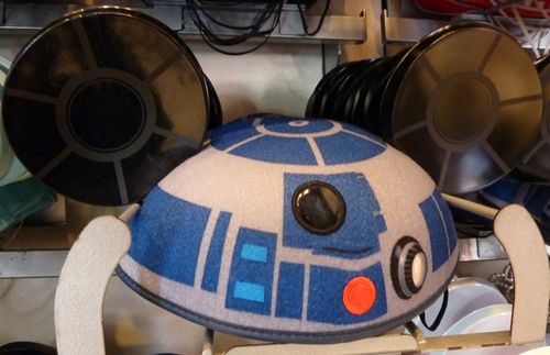 Disney's Hollywood Studios 22