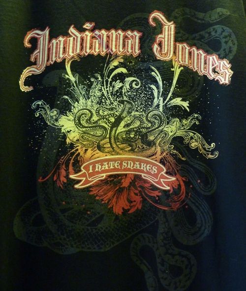 Disney's Hollywood Studios 32