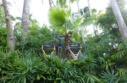 Disney's Hollywood Studios 33