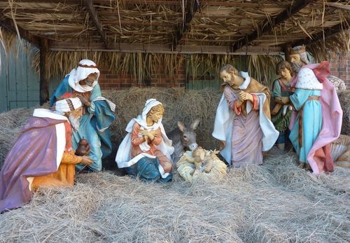 Disney's Hollywood Studios 15