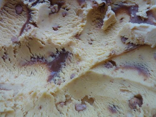 Spiced Pumpkin Pecan Blue Bell 3